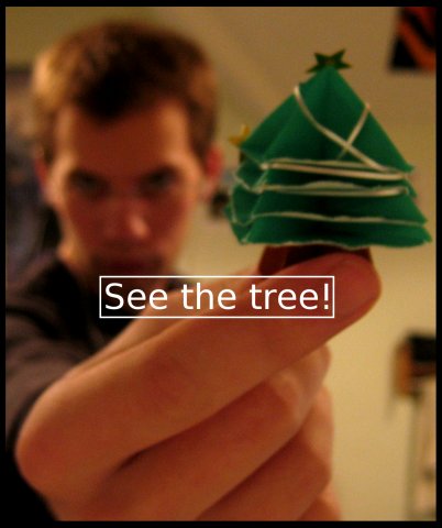 See the tree!