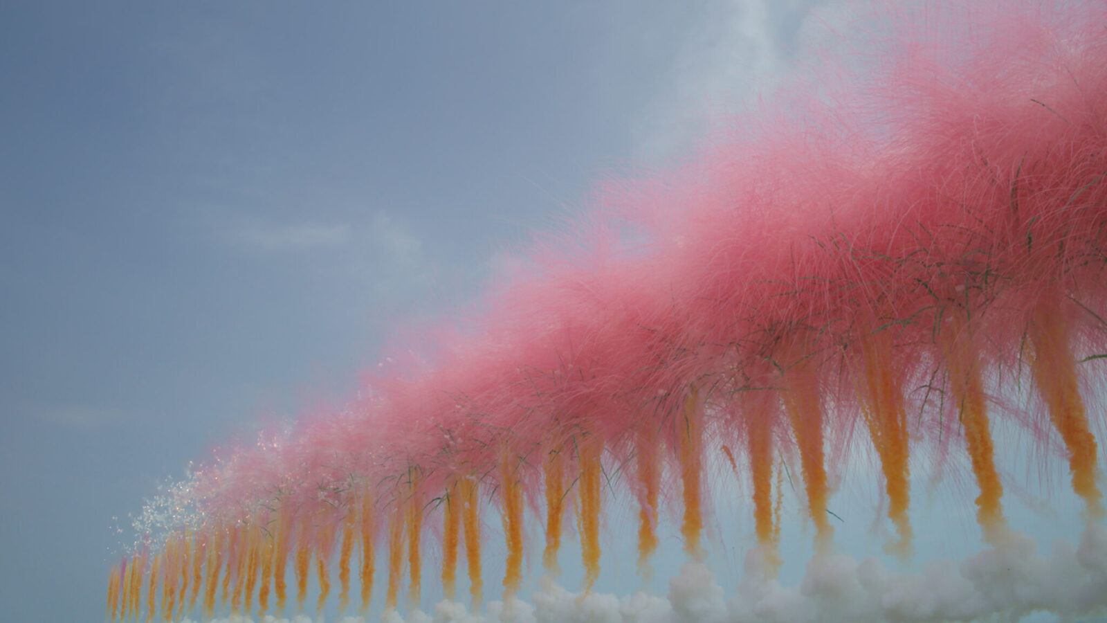 When the Sky Blooms with Sakura daytime fireworks by Cai Guo-Qiang ...