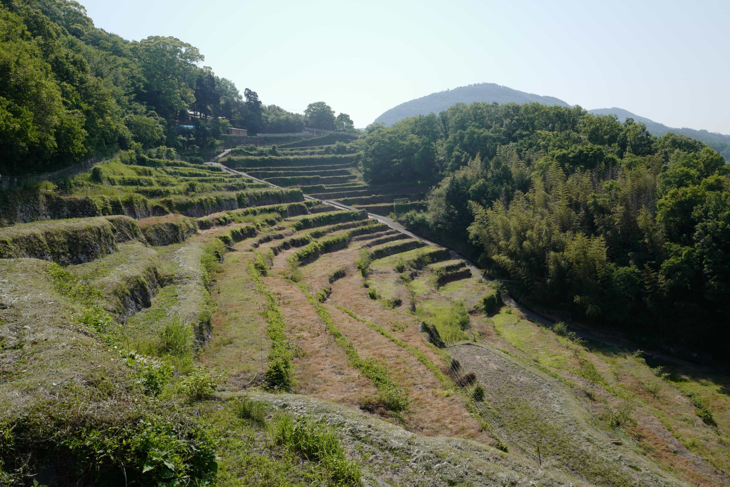 Shōdoshima Pilgrimage: Day 7