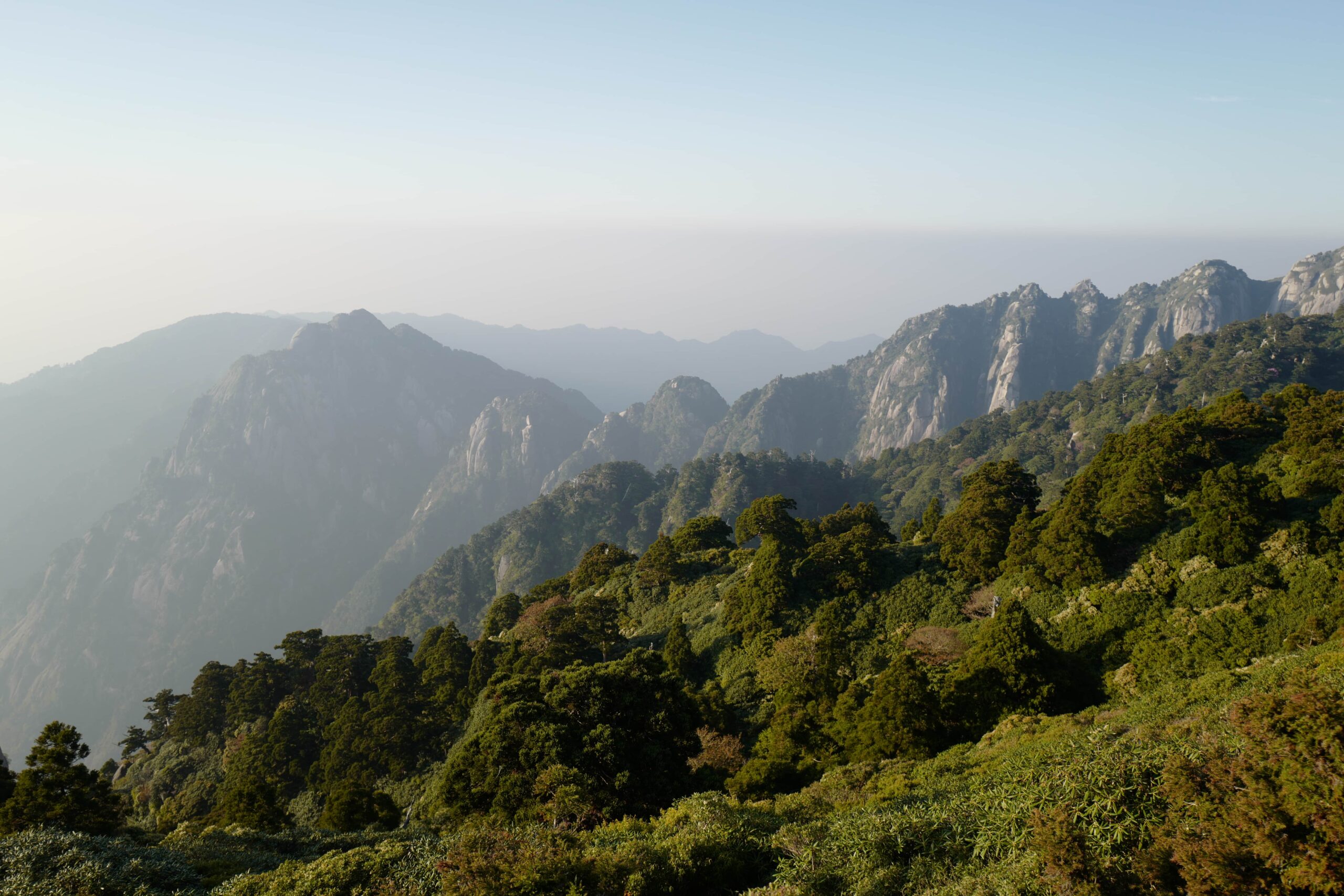 Yakushima: Hiking through Heaven and Hell