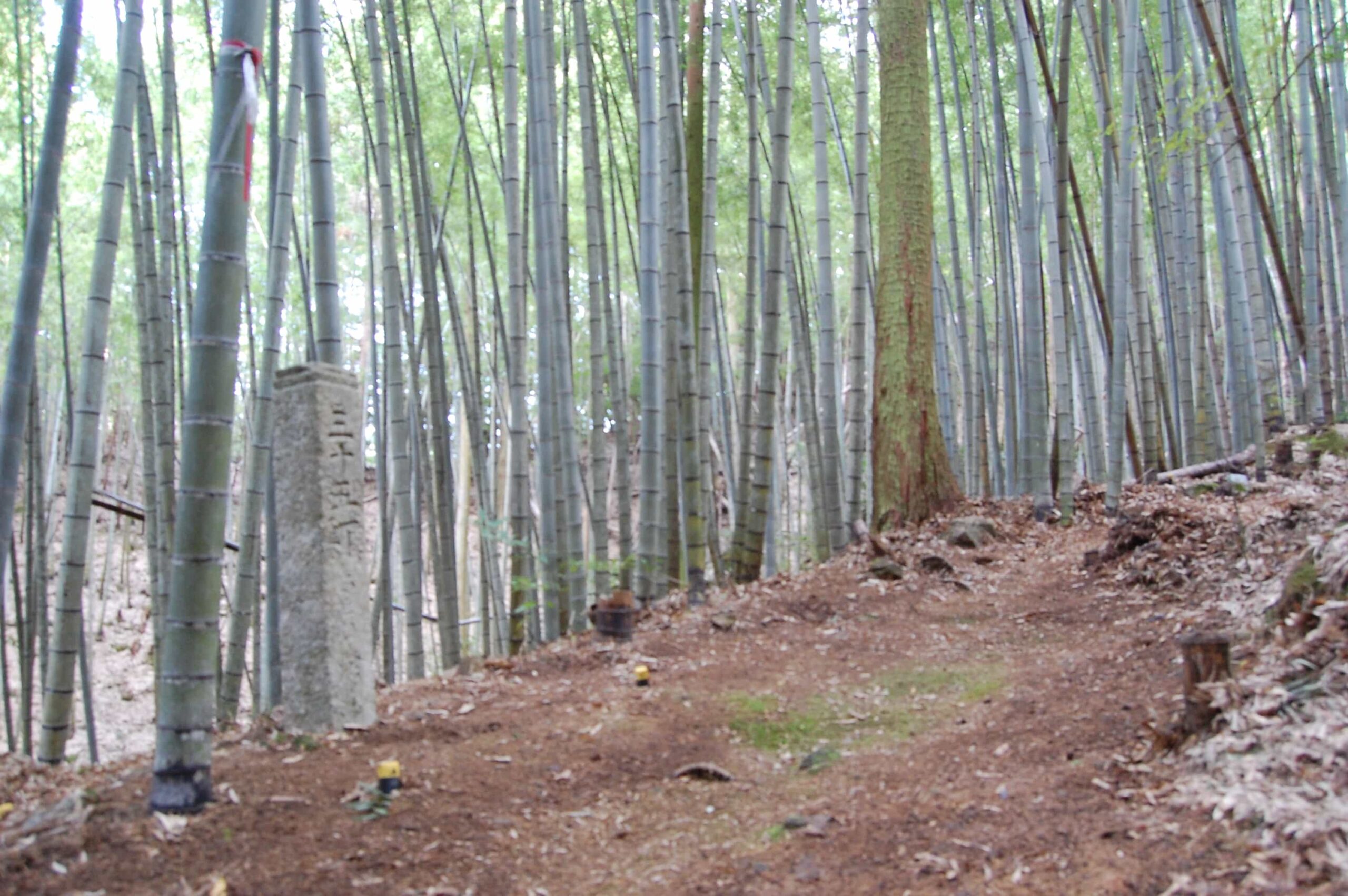 Walking the Kamo-michi up to Temple 21, Tairyūji