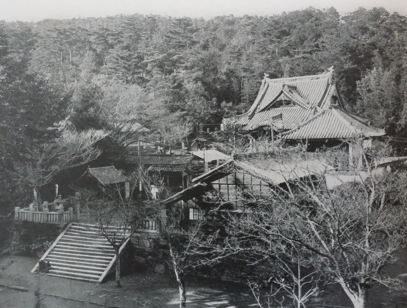 A challenging day hike from Fujii-dera to Shōsan-ji