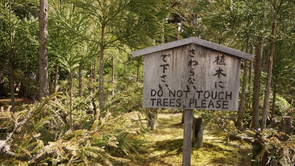 Do Not Touch Trees, Please