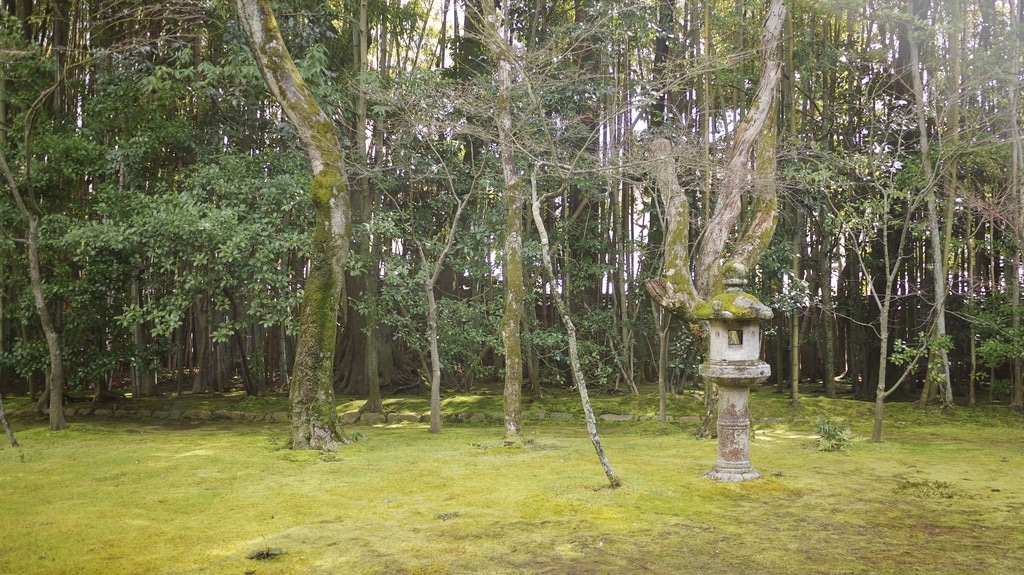 Kōtō-in Moss Garden