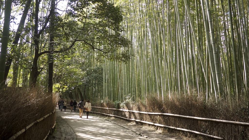 Arashiyama Sagano Bamboo Forest