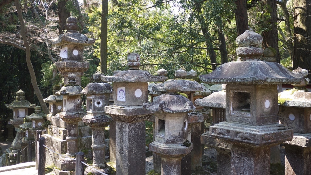 Stone Lanterns at Kasuga Taisha
