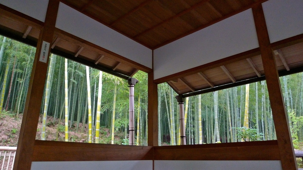 Bamboo Window