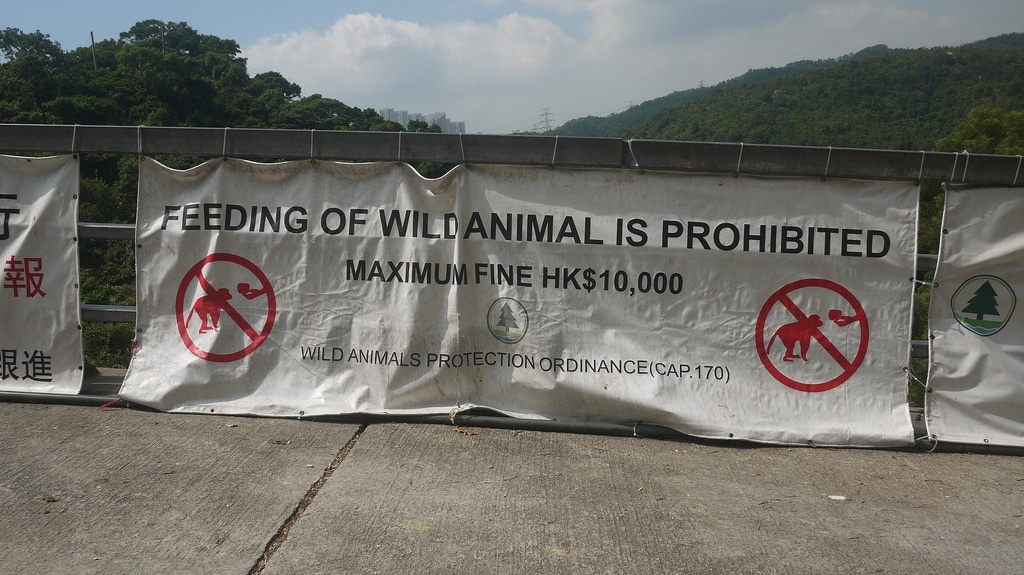 Feeding of Wile Animal is Prohibited