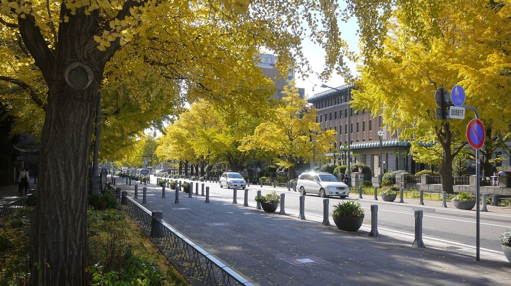 Autumn in Yokohama