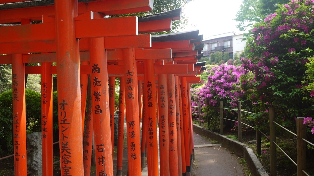 Torii Pathway