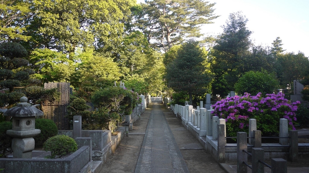 Peaceful Graveyard