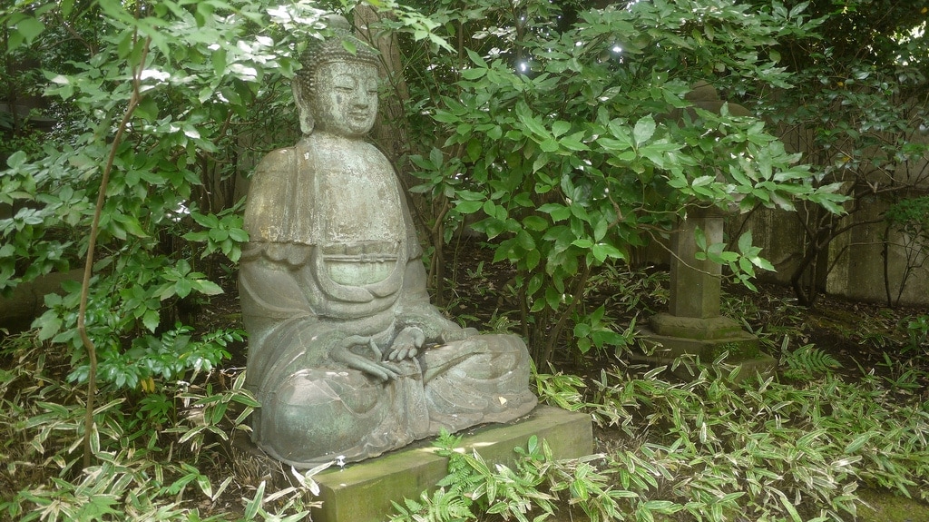 Basking Buddha