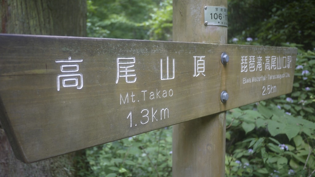 Mt. Takao Hike