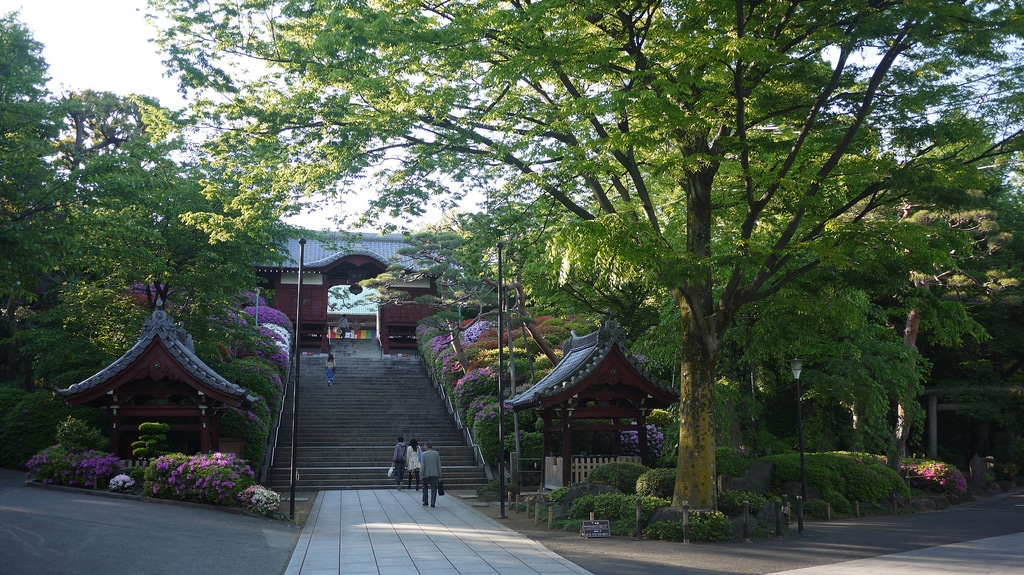 Tokyo Shorts – Gokoku-ji Temple