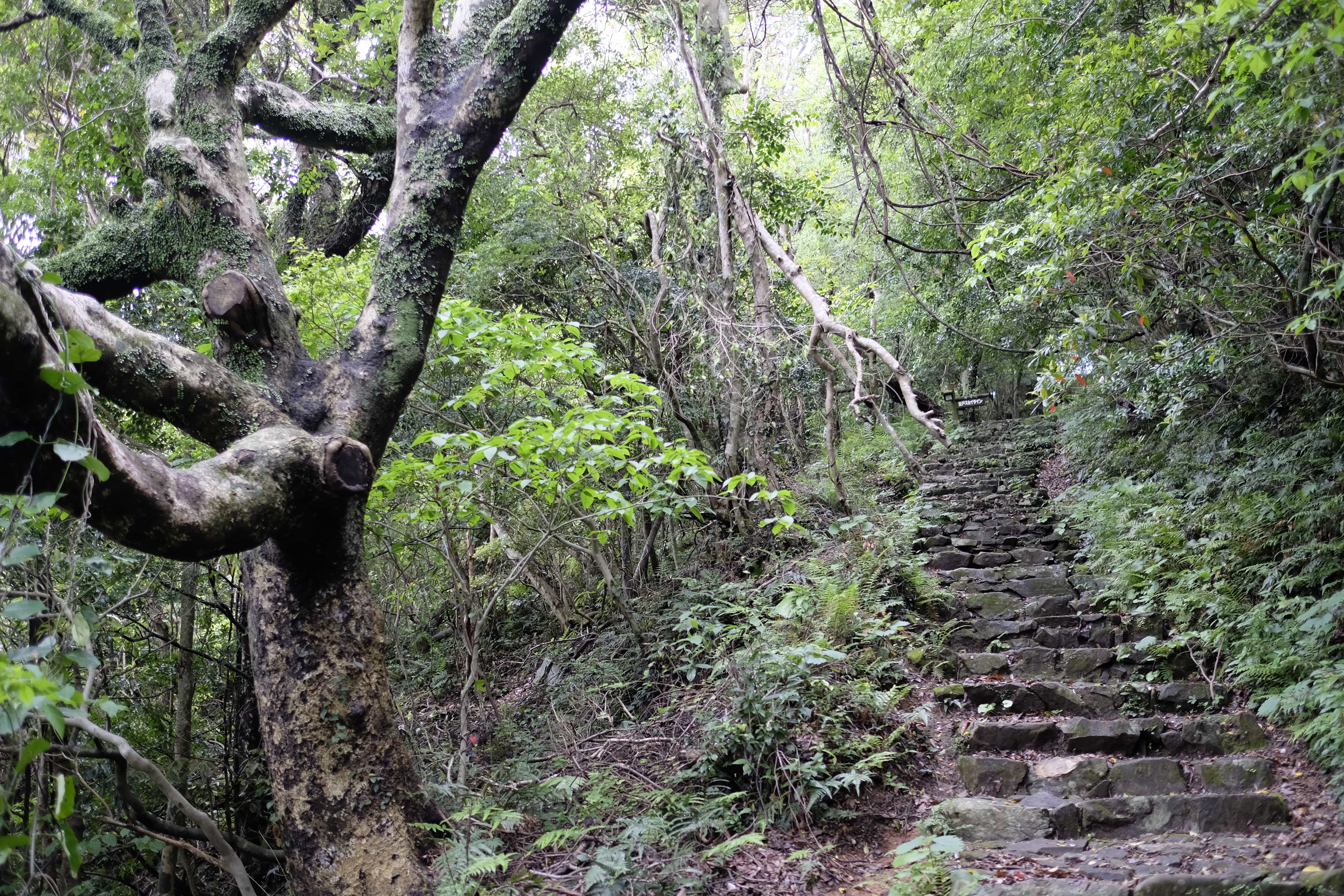 Stairs to Hotsumisaki-ji