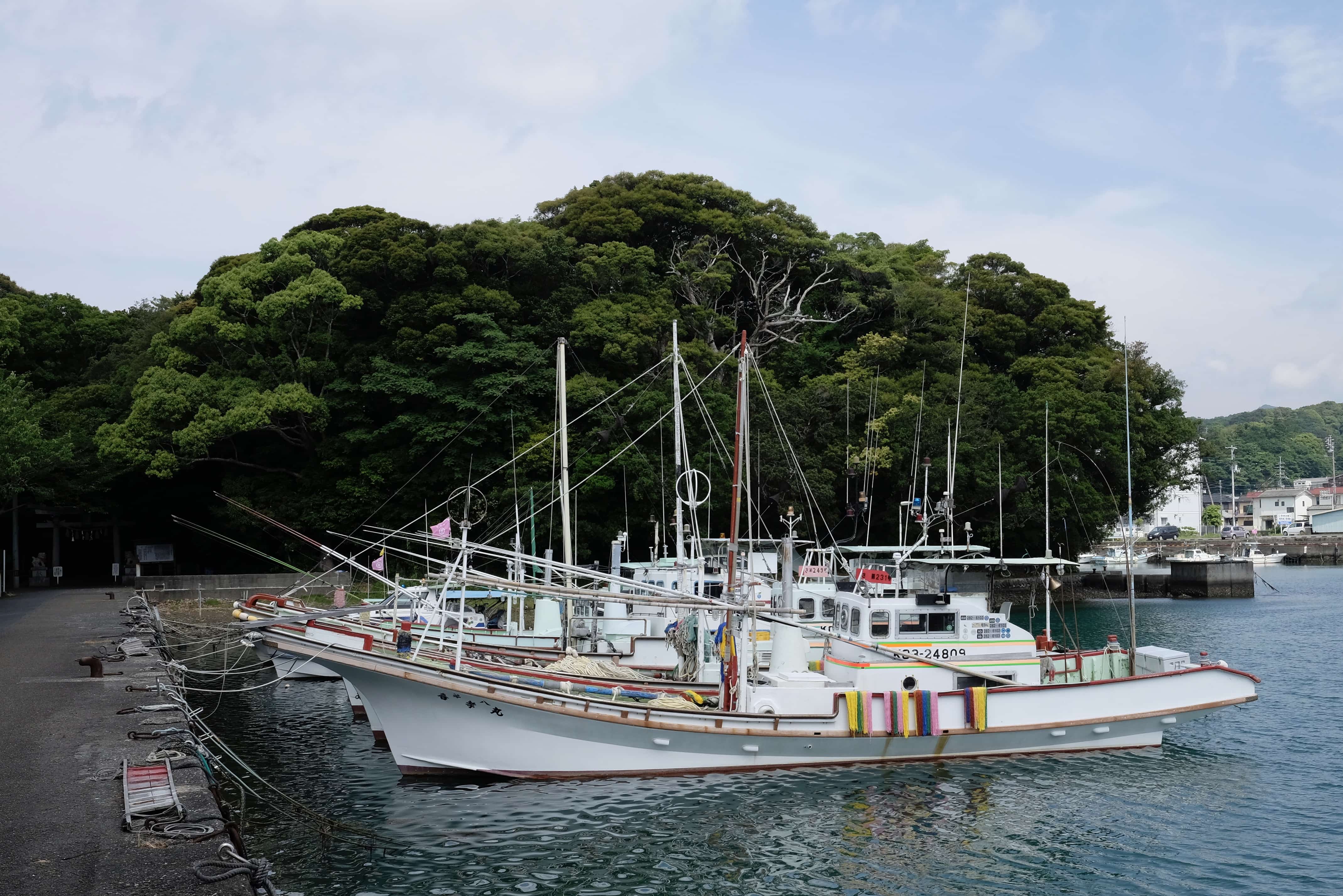 Tosa-Shimizu harbour