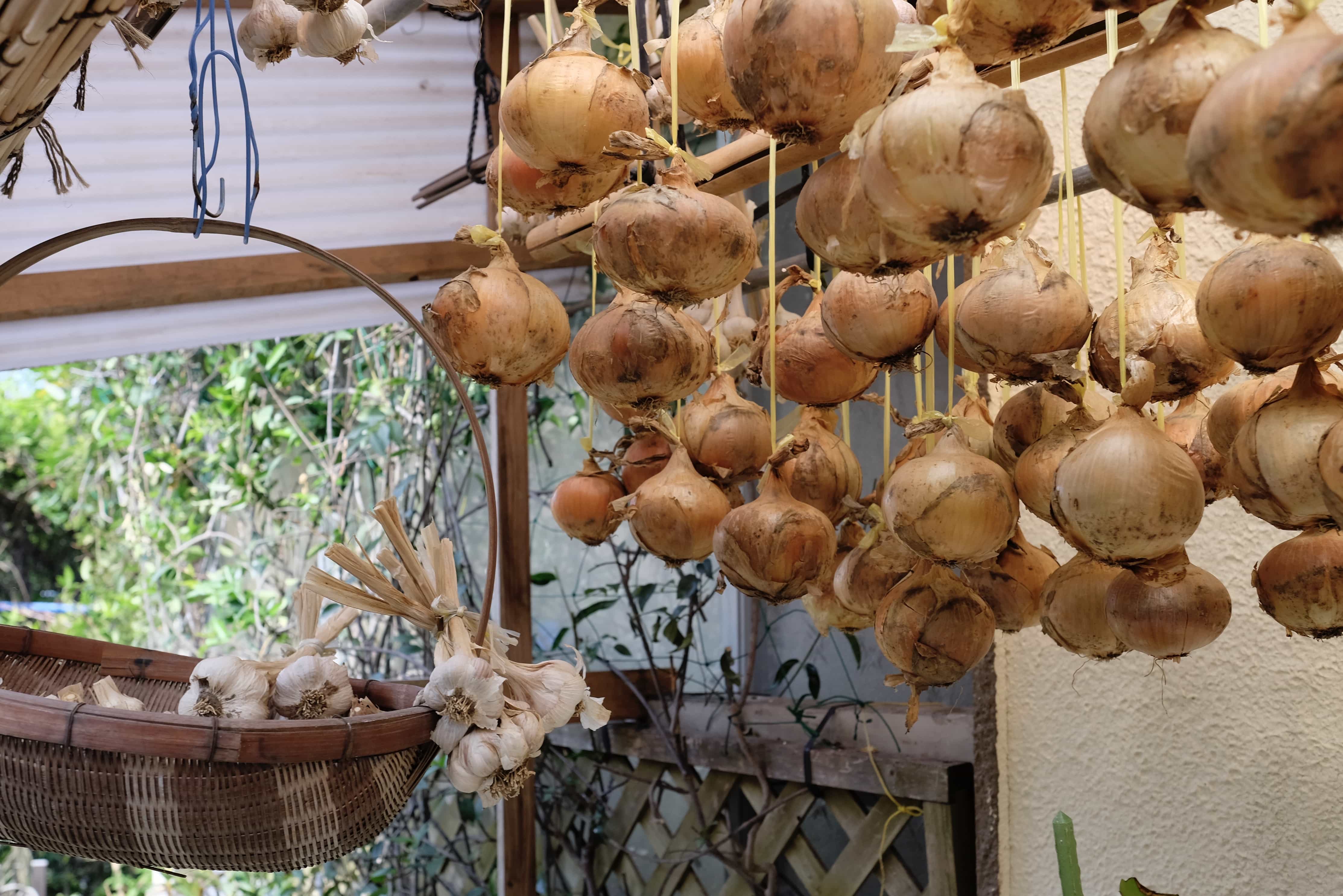 Hanging garlic and onions