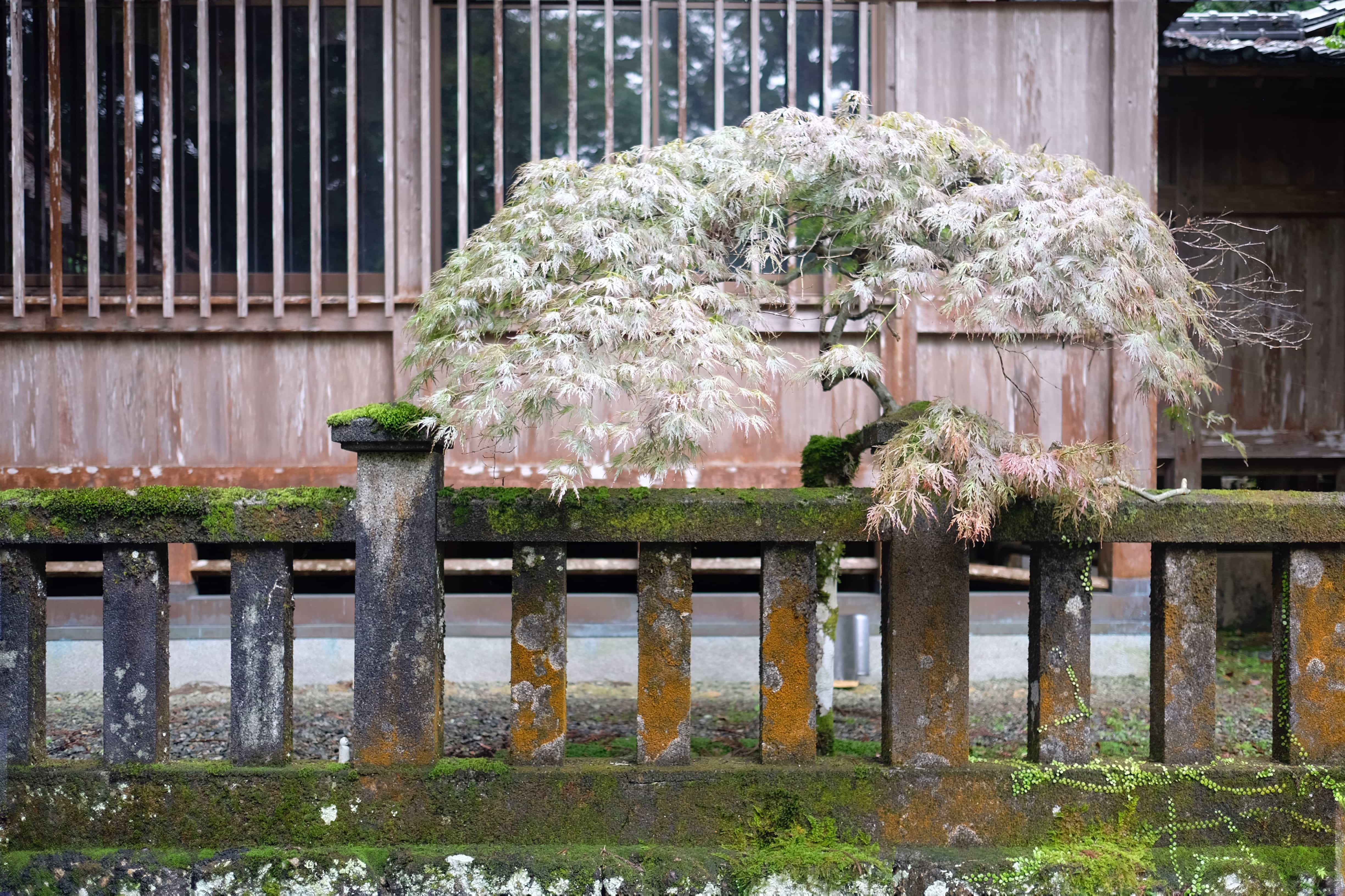 Shrine next to Meiseki-ji