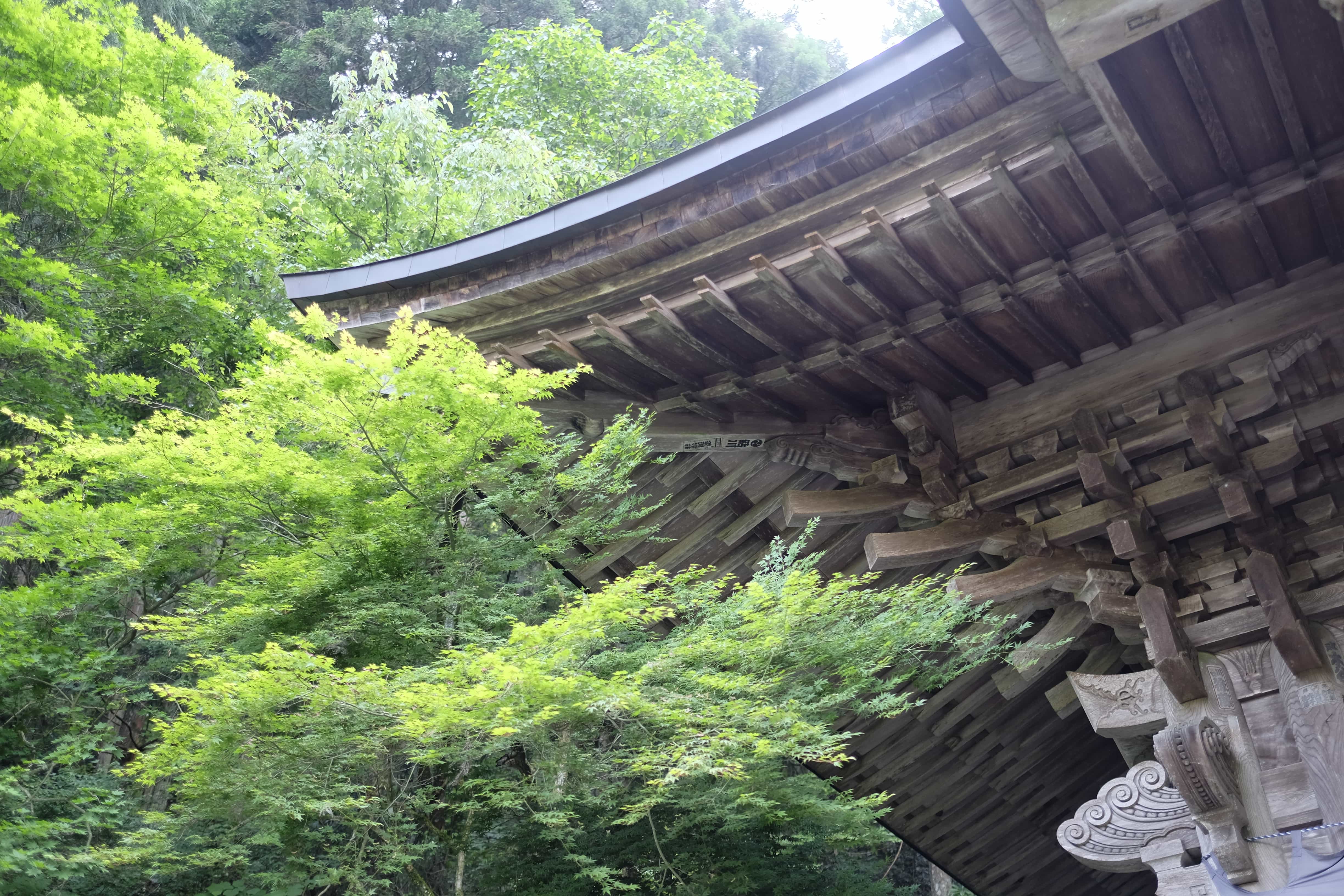 Iwaya-ji joinery