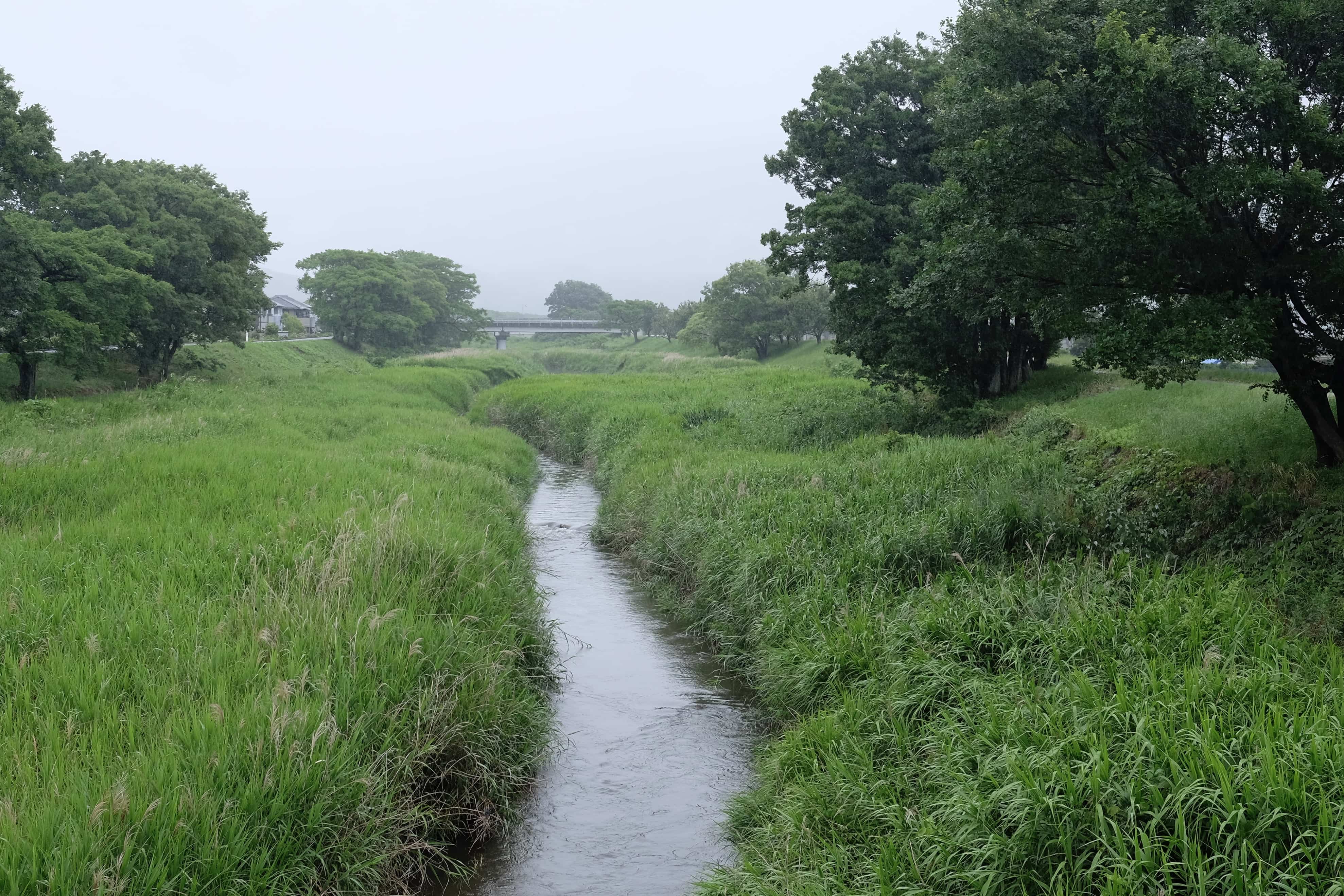 River in Hoji