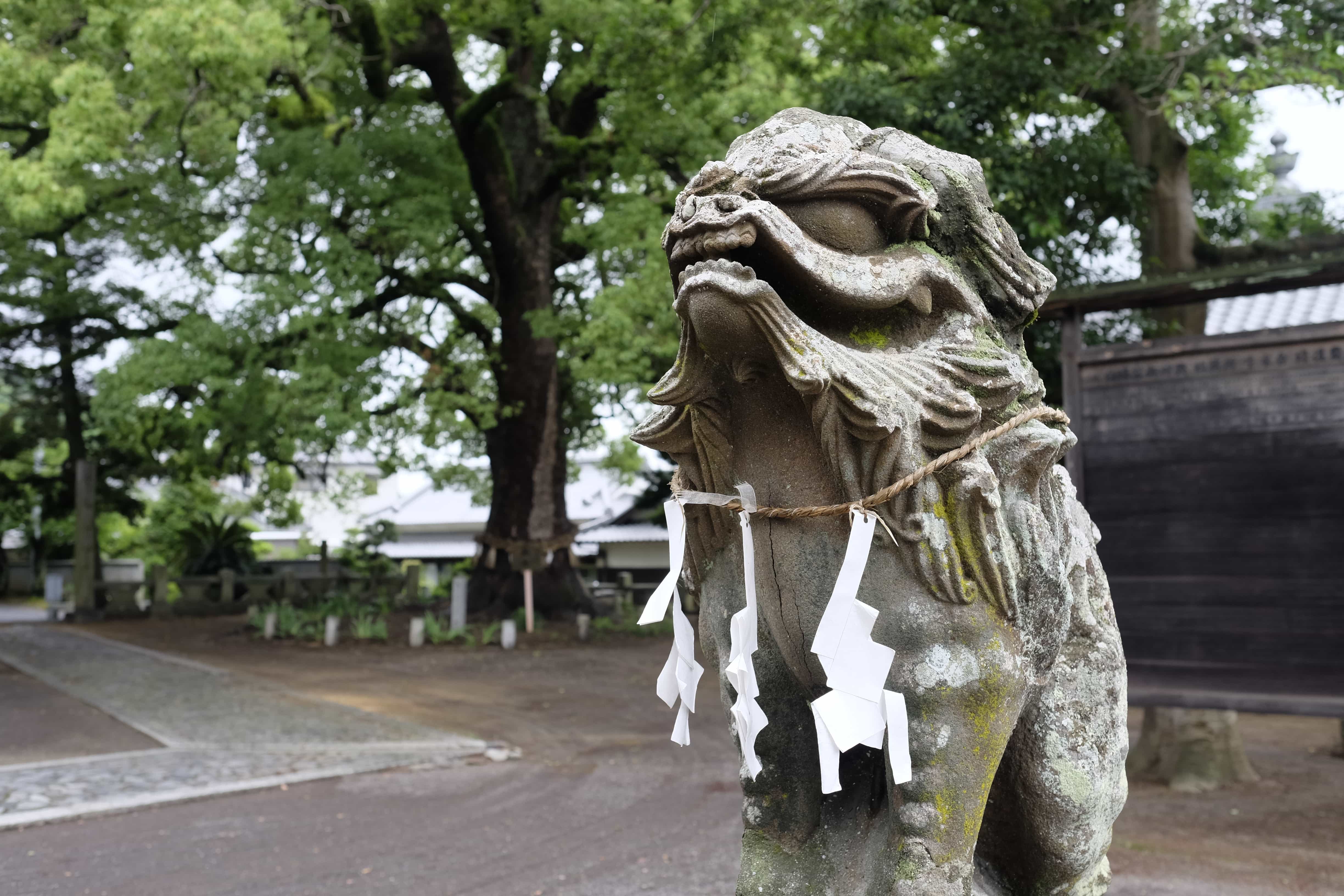 Shiraminegū Shrine Lion