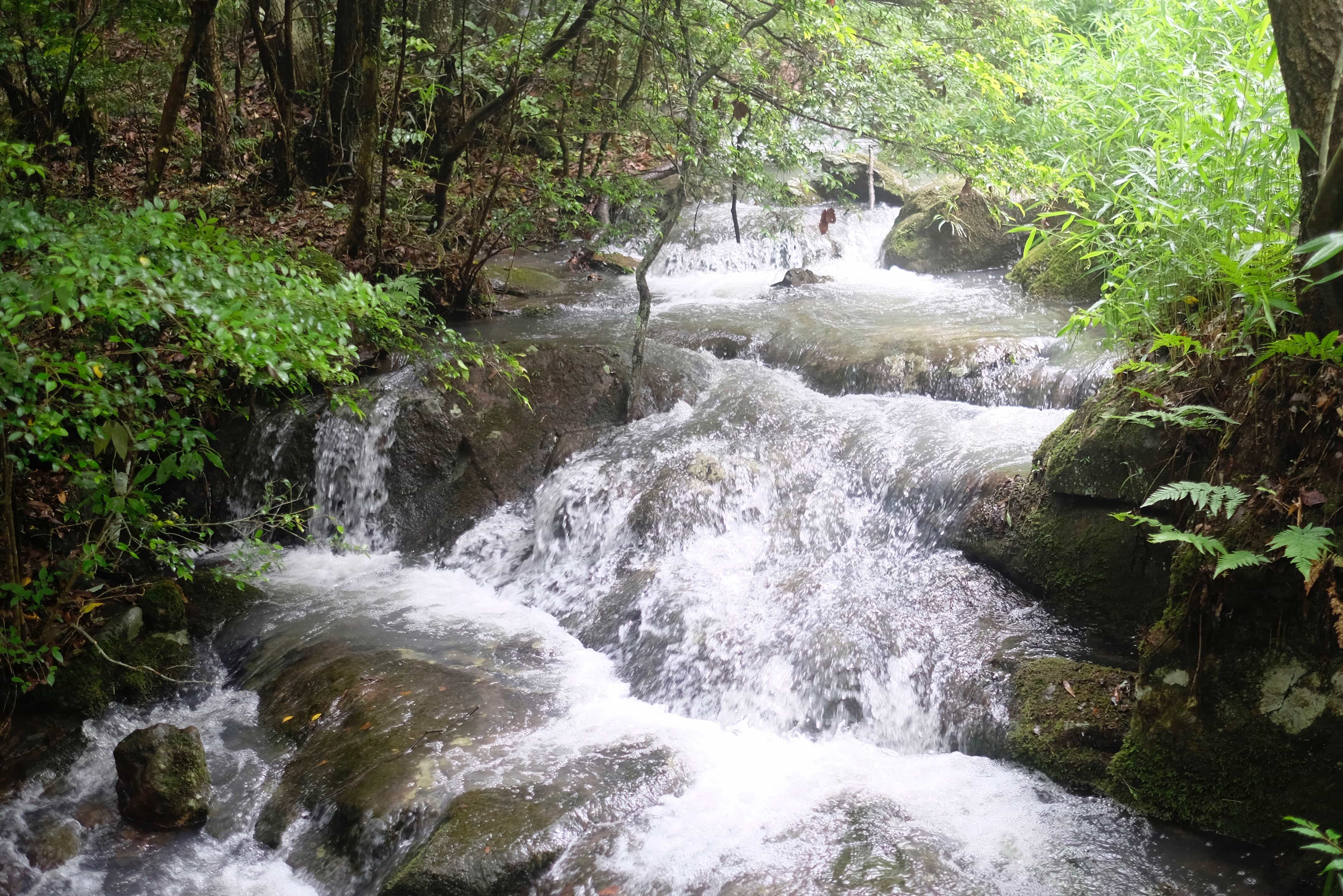 Sanuki Henro Trail stream