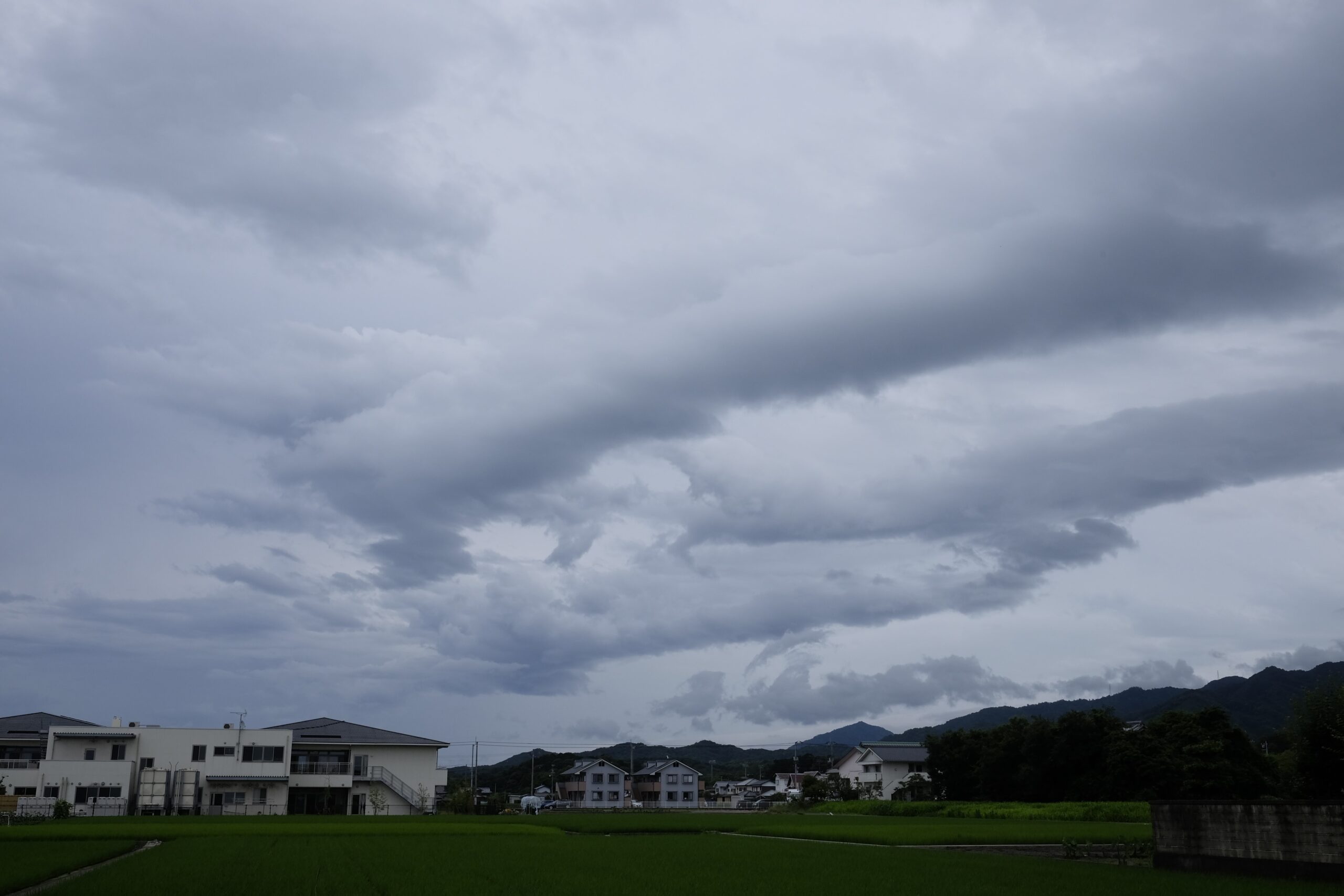 Day 48: Ōkubo-ji