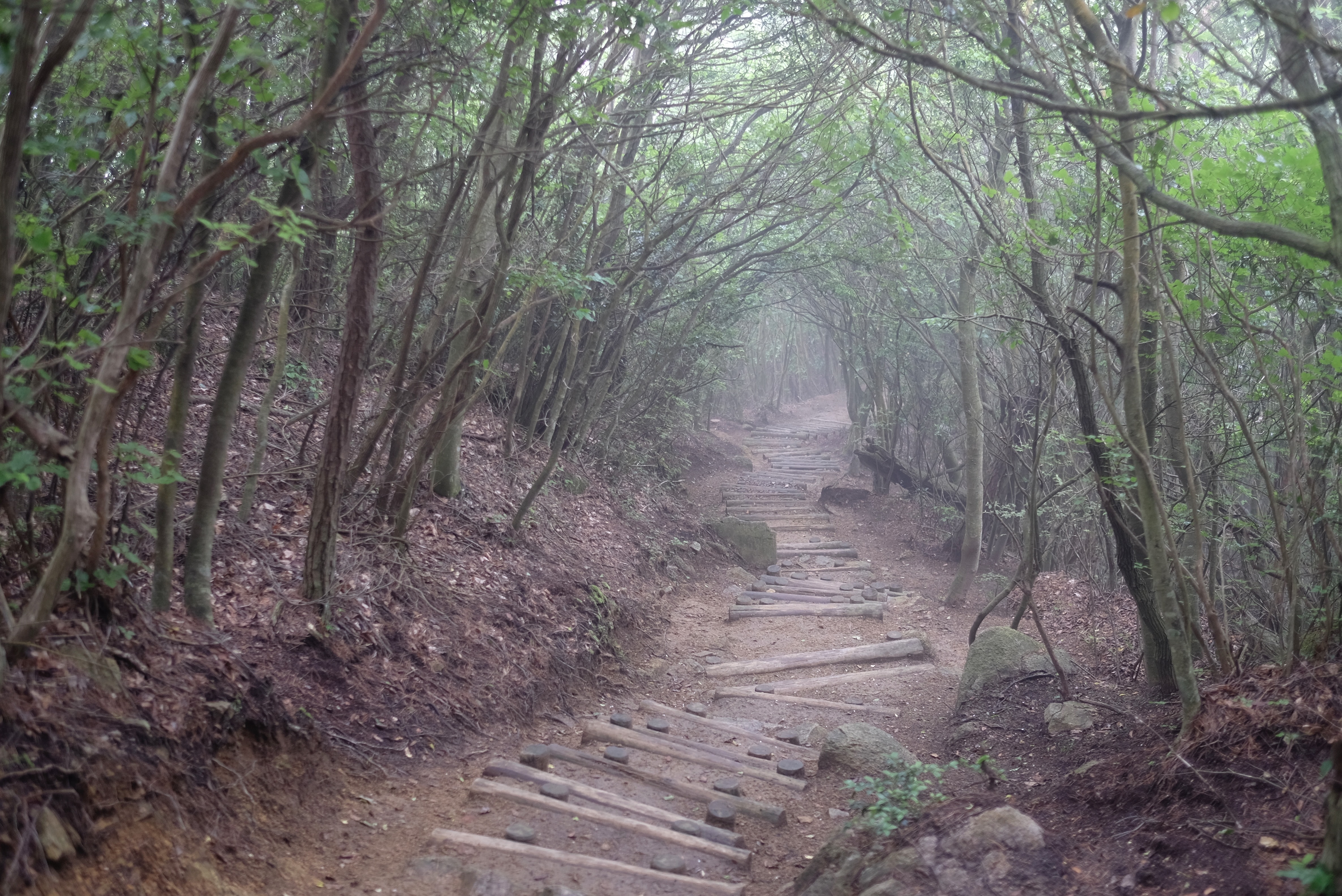 Trail down to Ōkubo-ji