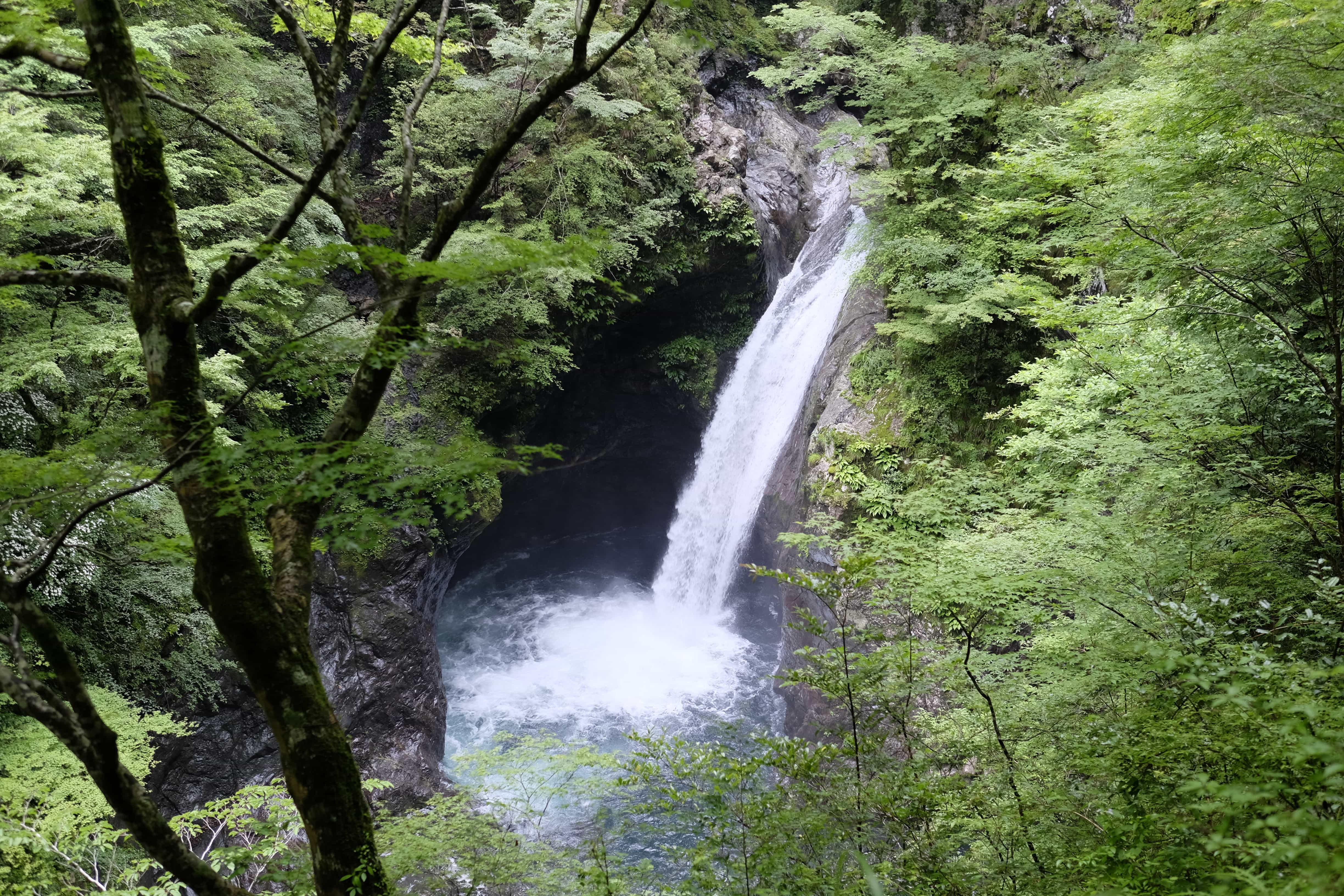 Oogamanotaki waterfall (大釜の滝)