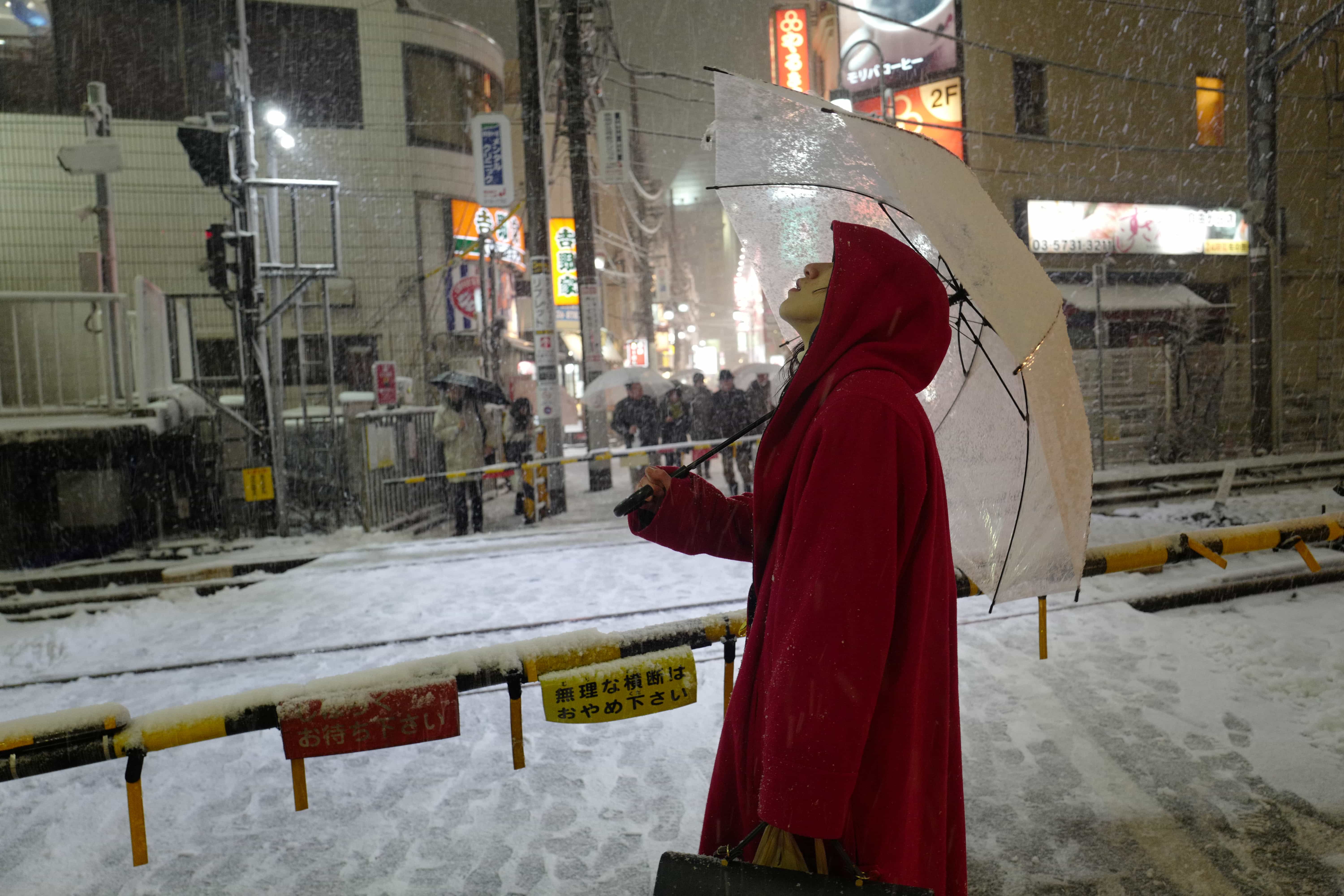 Tokyo Snowzilla 2018