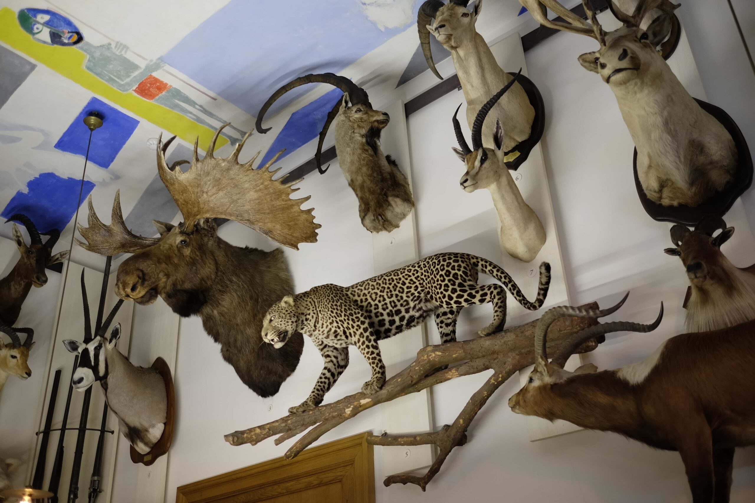 Musée de la Chasse et de la Nature