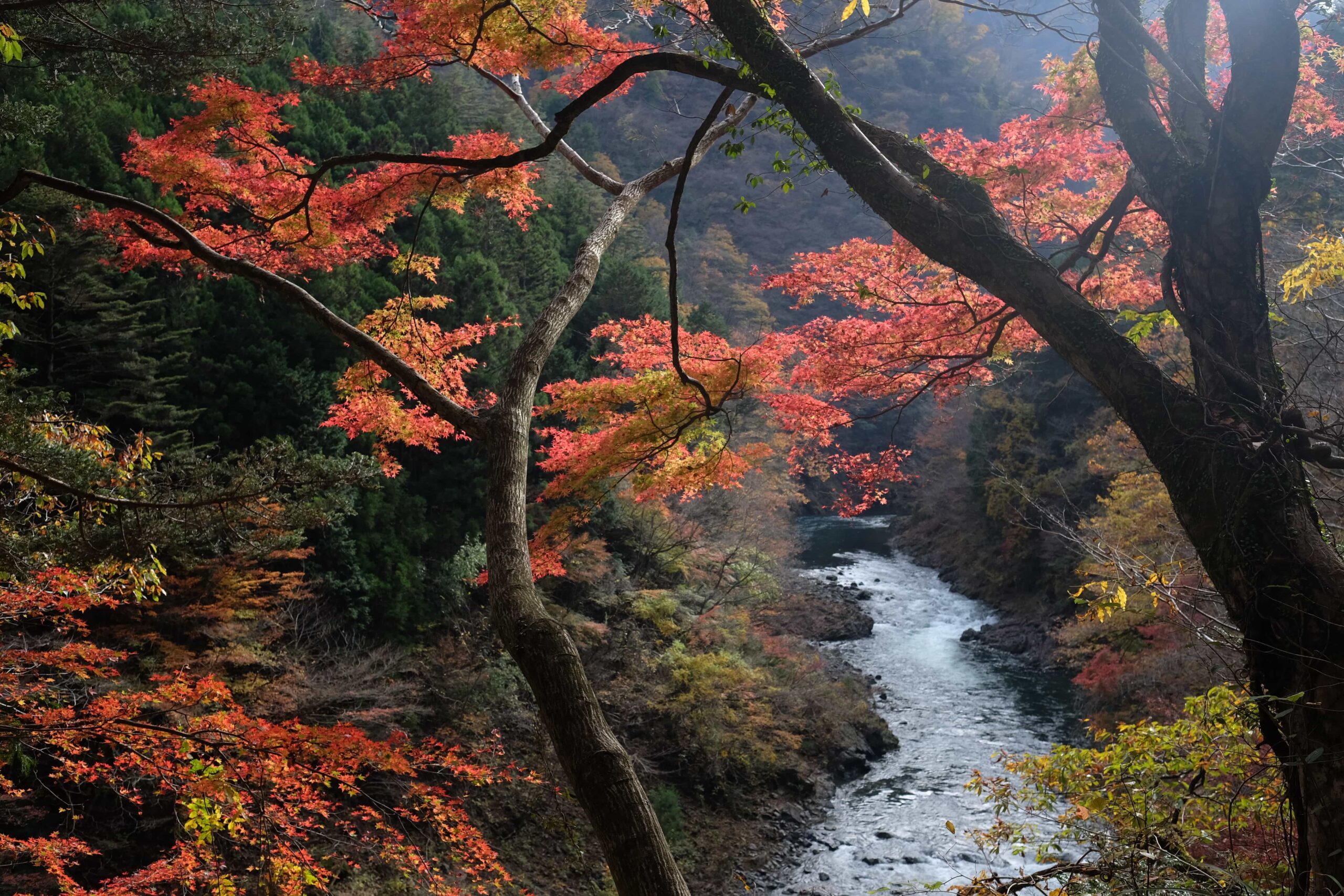 Okutama Mukashi-Michi Hike