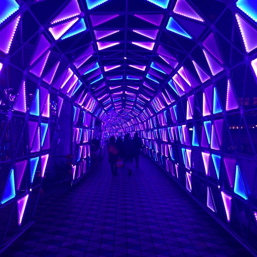 Tokyo Dome Neon