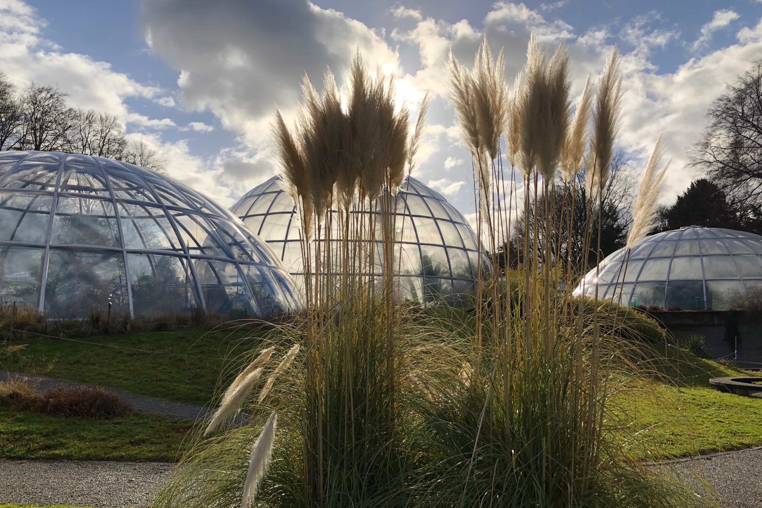 Zürich Botanical Gardens